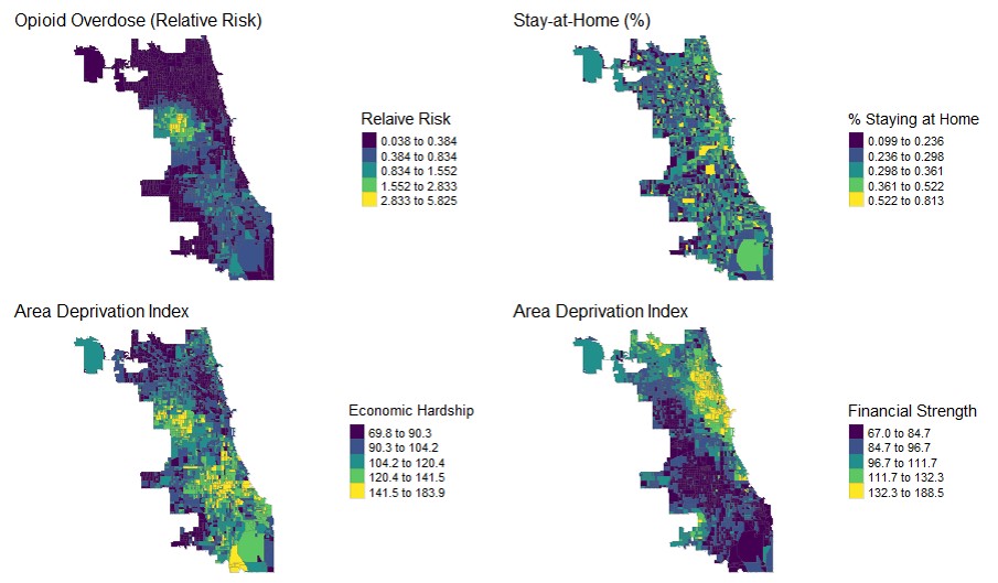 A Multivariate Conditional Autoregressive Model of the COVID-19, Opioid ...